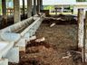 Secretaria de Agricultura prepara pavilhões para os animais da Mercoleite