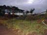 Vento e chuva  forte deixa prejuízos em Campo Erê e região  