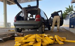 Após perseguição, PRF apreende mais de 90 kg de maconha em carro na BR-163