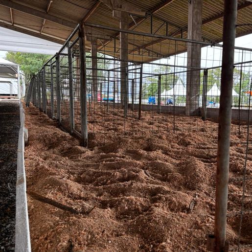 Faismo entra na reta final com alerta de chuva e foco na chegada das máquinas