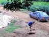 Bezerro é 'levado a força', arrastado e colocado dentro de Monza