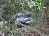 Mãe e filha de São Miguel do Oeste são as vítimas fatais de acidente na BR-282