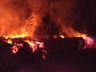 Incêndio florestal mobiliza Corpo de Bombeiros por quatro horas 