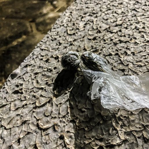 Polícia Militar atende ocorrência de posse de drogas em SMO