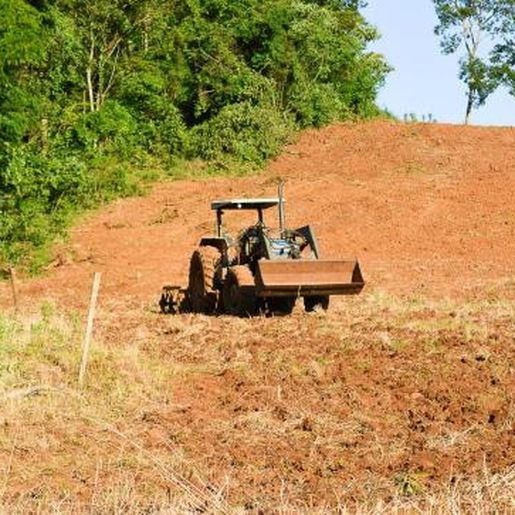 Sindicato pede para que prefeituras decretem situação de emergência devido a seca 