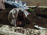 Mulher morre em grave acidente de moto no centro de Itapiranga