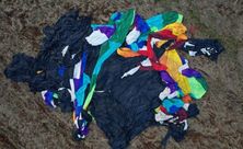 Delegado que investigou queda de balão em Praia Grande é exonerado