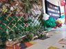 Escola de Santa Helena sedia 11ª edição da Feira Regional do Conhecimento