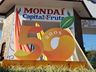 Com grandes atrações, inicia hoje a 18ª Festa da Fruta em Mondaí
