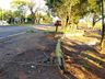 Moto colide em fiação sobre a pista e duas pessoas ficam feridas em acidente na SC 163