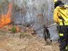 VÍDEO: Aumento de incêndios deixa capacidade de atendimento dos bombeiros no limite 