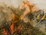 Brasil teve ao menos 1,9 mil focos de incêndio por dia em agosto