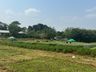 Cedup Campo Erê realiza tradicional Dia de Campo 