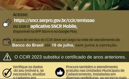 Secretaria de Agricultura de Saltinho faz consulta e emissão do CCIR