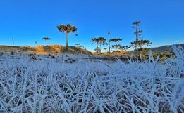 SC amanhece com formação de geada e termômetros abaixo de -3ºC
