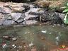 PMA constata poluição e mortandade de peixes em rio de Itapiranga
