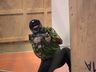 AKVA Airsoft conquista 1° Campeonato da Associação Chapecoense de Airsoft