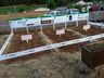 Cooperalfa envolve centenas de agricultores na 3ª Noite de Campo em SJCedro