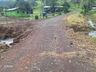 Veja a cobertura completa e as fotos do temporal que causou estragos em São Miguel do Oeste