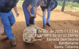 Projeto leva assistência técnica a criadores de ovinos em Bandeirante