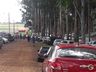 Veloterra atrai pessoas de toda região neste domingo em São José do Cedro