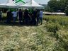 Epagri realiza Dia de Campo para apresentação da cultura de inverno