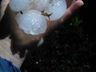 Temporal com chuva de granizo causa estragos na região Extremo-Oeste catarinense