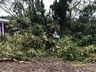 Confira algumas imagens após passagem de tornado em Descanso