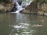 Homem de 37 anos morre afogado no Rio Cambuim