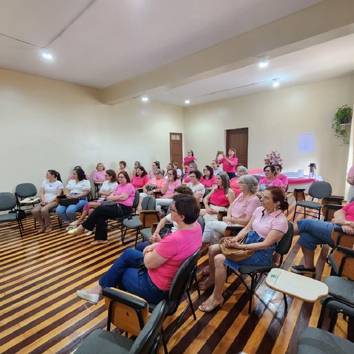Rede Feminina de Combate ao Câncer é lançada em Itapiranga 