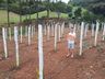Jovem é contemplado com projeto do Instituto Souza Cruz para iniciar cultivo de pitayas 