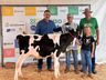 Qualidade genética e potencial leiteiro em destaque no julgamento de gado holandês da ExpoCedro 2025