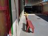 Escola de Itapiranga utiliza água dos climatizadores para trabalho com crianças  