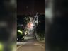 Capotamento deixa idoso ferido em São Miguel do Oeste