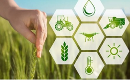 Região possui grande demanda por cursos de capacitação agrícola