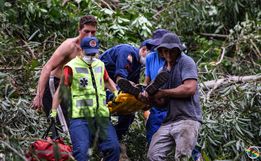 VÍDEO: Homem atingido por árvore está na UTI do Hospital Regional