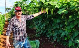 Ex-empresário do ramo frigorífico desempenha atividades com a produção de hortaliças