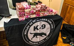 Polícia Civil prende homem e apreende droga e arma em Guaraciaba