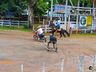 Escolinha de laçadores realiza 1ª Festa Campeira em SMOeste