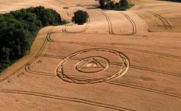 Primeiro agroglifo de 2025 aparece em plantação de trigo no Oeste