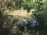 Idoso morre afogado em açude