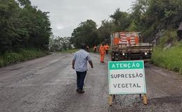 DNIT promove retirada e limpeza de vegetação às margens da BR-163
