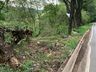 Carro sai da pista cai de ribanceira e fica preso em árvores na BR-282 em Iraceminha
