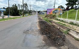 Buracos e abandono: até quando a Willy Barth vai esperar por uma solução definitiva?