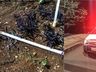 VÍDEO: Tio agride sobrinho com paulada na cabeça em SMO