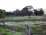 FOTOS: Onda de frio provoca geada em Itapiranga