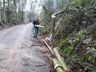 Temporal derruba árvores, alaga estradas e causa prejuízos no interior de SMOeste 