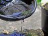 Número de focos da Dengue decaiu em SJCedro em 2019