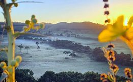 Geada e mínimas de 1,5 °C marcam amanhecer na Serra de SC a quatro dias para início do verão