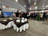 Festival do Frango e do Vinho reúne 1.400 pessoas em SMOeste